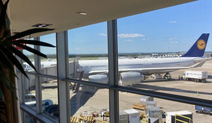 IMG_5802.jpeg