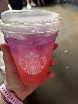 IMG_5172.JPG IMG_5172.JPG