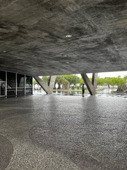 IMG_8421.jpeg