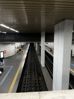 IMG_8451.jpeg