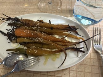 IMG_8937.jpeg