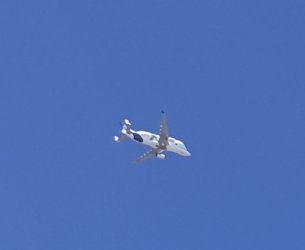 IMG_1151.jpeg