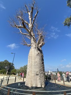 IMG_4060.jpeg