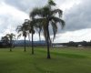 2-DSC00522.jpg
