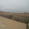 Country Side.jpg