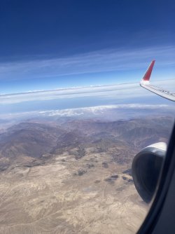 IMG_5874.jpeg IMG_5874.jpeg