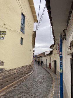 IMG_5882.jpeg IMG_5882.jpeg