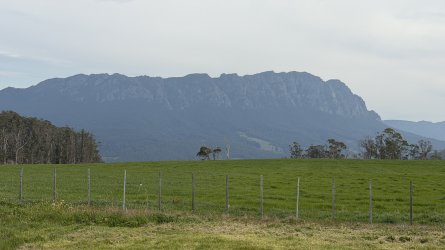 IMG_1985.jpeg