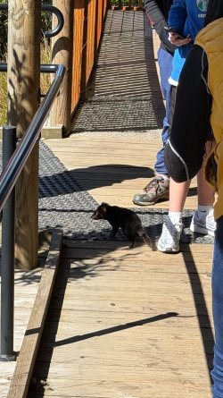IMG_2057.JPEG