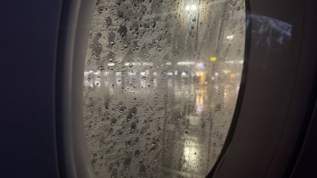 IMG_9739.jpeg IMG_9739.jpeg
