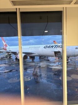 IMG_9919.jpeg