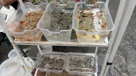 IMG_9884.jpeg IMG_9884.jpeg