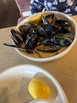 IMG_8980.jpeg