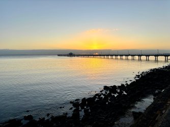 IMG_9443.jpeg