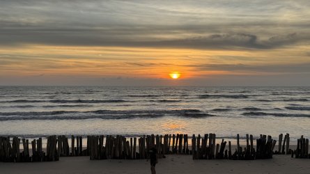 IMG_9936.jpeg