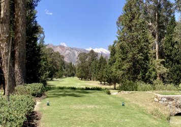IMG_6046.jpeg IMG_6046.jpeg