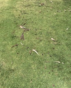 IMG_6047.jpeg IMG_6047.jpeg