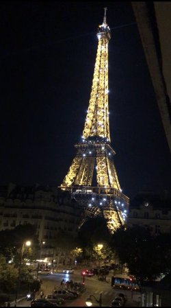 IMG_2711.jpeg