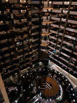 IMG_1417.jpeg