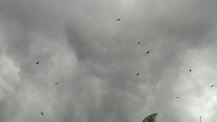 IMG_9981.jpeg