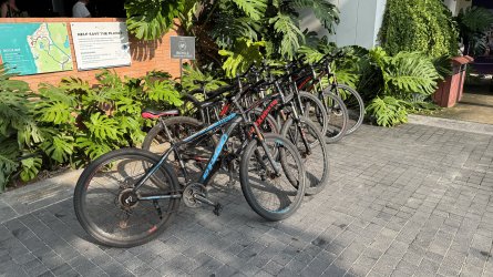 IMG_9993.jpeg