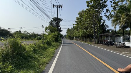 IMG_9996.jpeg