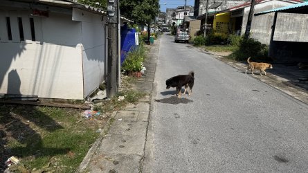 IMG_0043.jpeg