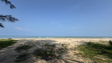 IMG_0055.jpeg