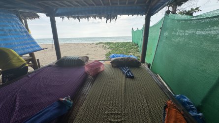 IMG_0065.jpeg