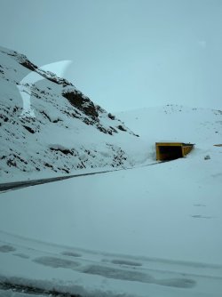 IMG_2183.jpeg