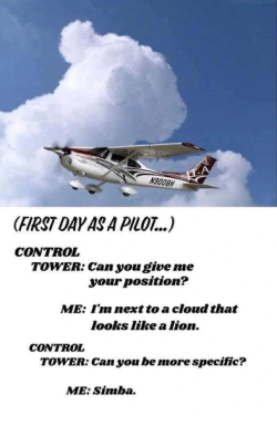 1790827297949.png