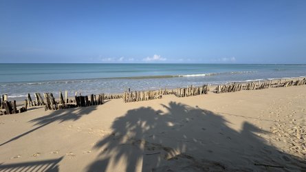 IMG_0103.jpeg