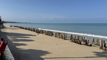 IMG_0105.jpeg