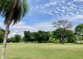 IMG_6270.jpeg