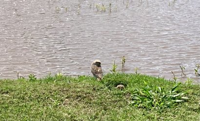 IMG_6275.jpeg