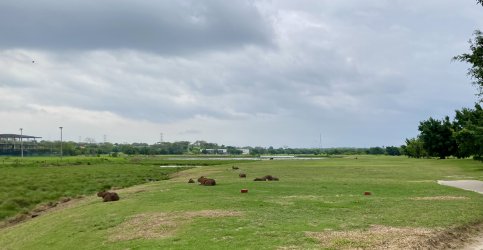 IMG_6308.jpeg