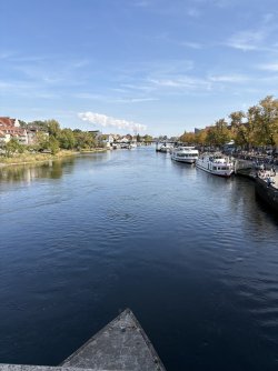 IMG_9948.jpeg