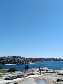 IMG20261004113417.jpg