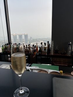 IMG_5277.jpeg IMG_5277.jpeg