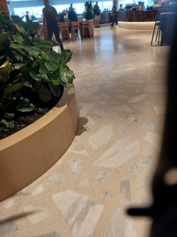 20261006_105426.jpg