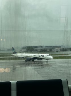 IMG_8607.jpeg