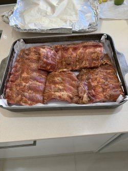 IMG_2559.jpeg