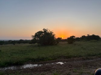 IMG_7952.JPEG