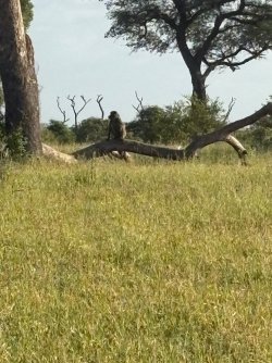 IMG_7961.JPEG