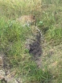 IMG_7966.JPEG