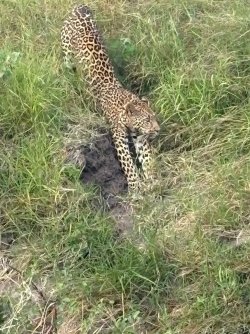 IMG_7970.JPEG