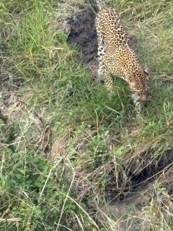 IMG_7972.JPEG