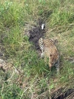 IMG_7973.JPEG