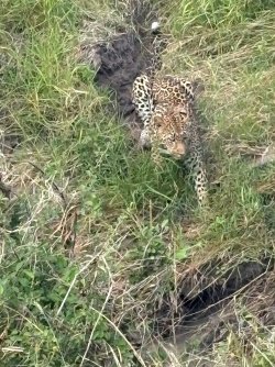 IMG_7974.JPEG