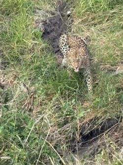 IMG_7976.JPEG